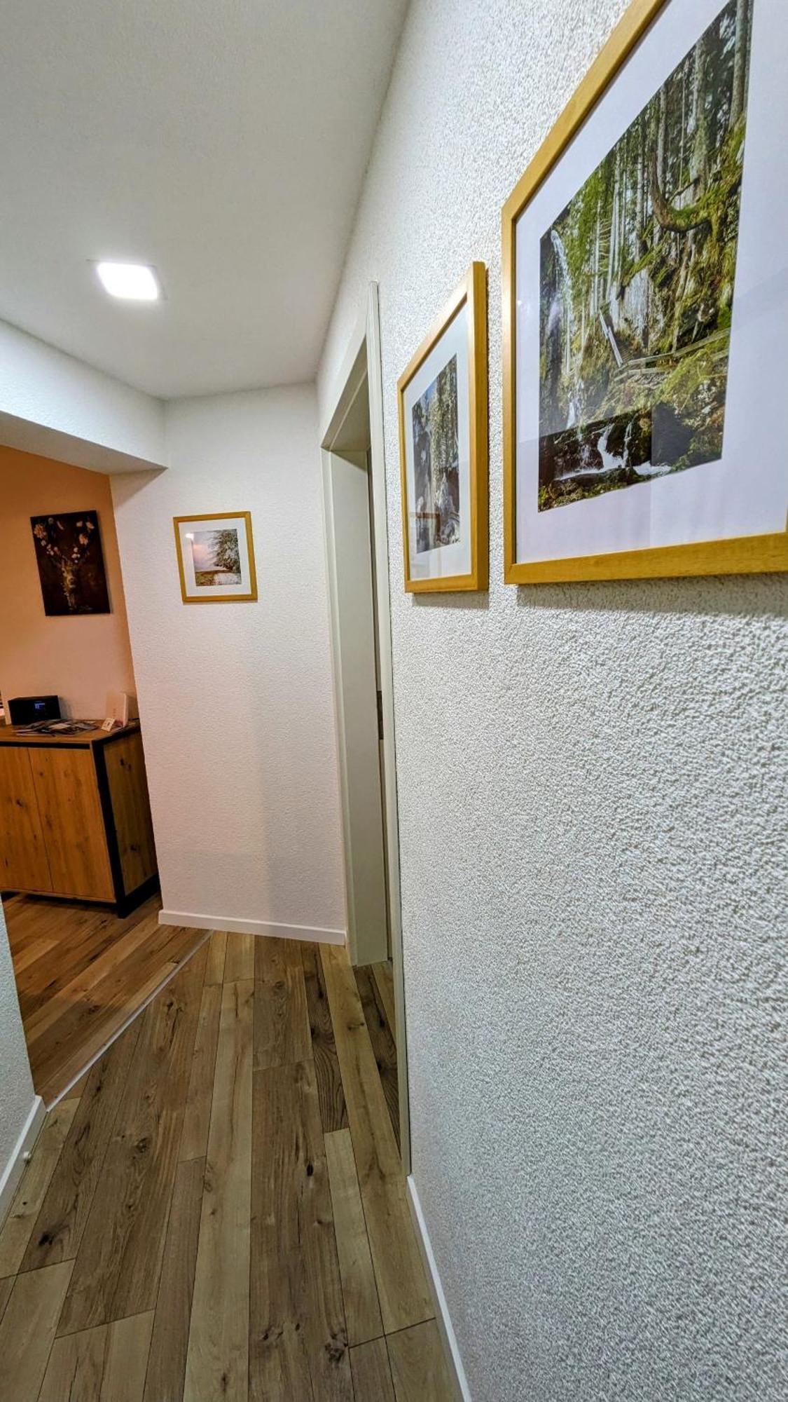 Ferienwohnung Albbruck/Albert エクステリア 写真
