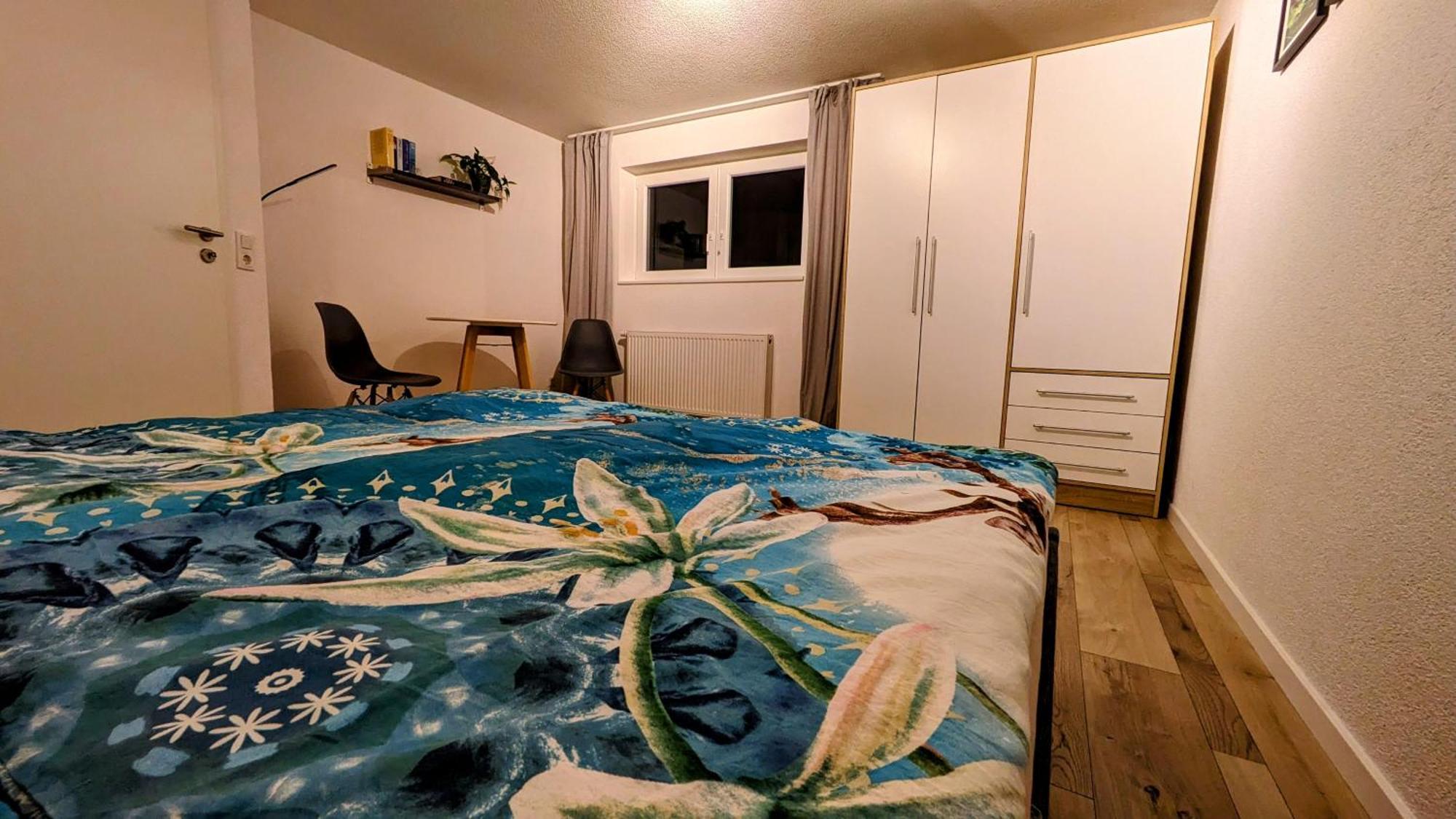 Ferienwohnung Albbruck/Albert エクステリア 写真