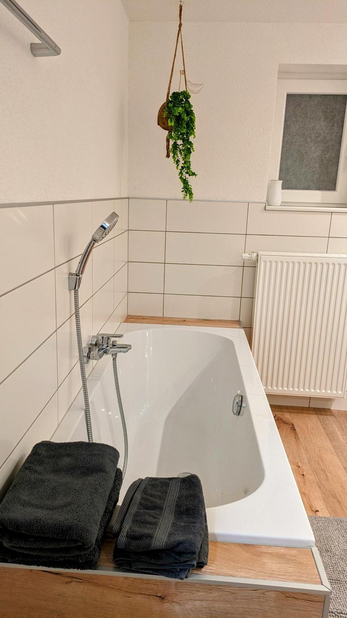 Ferienwohnung Albbruck/Albert エクステリア 写真
